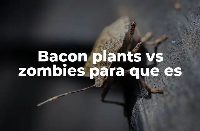 Bacon Plants Vs Zombies para que es
