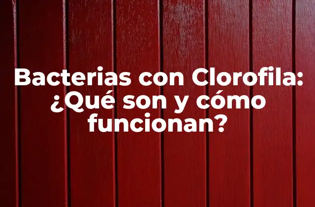 Bacterias con Clorofila: ¿qué Son y Cómo Funcionan? 2 ¿Cuál es la función de la clorofila en las bacterias?