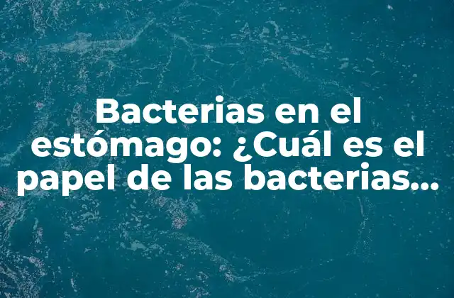 Bacterias en el Estómago: ¿cuál es el Papel de las Bacterias en la Salud Digestiva?