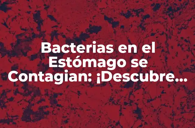 Bacterias en el Estómago Se Contagian: ¡descubre la Verdad!