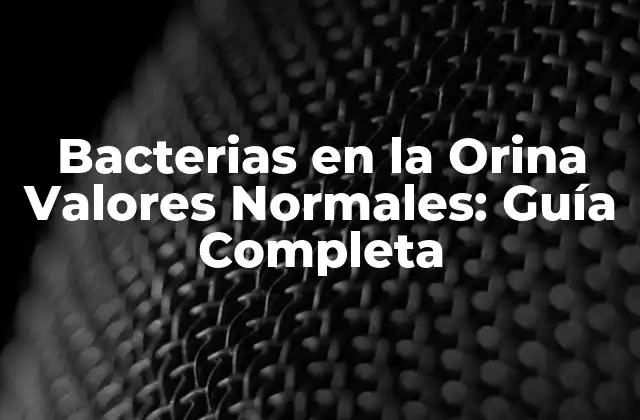 Bacterias en la Orina Valores Normales: Guía Completa
