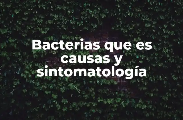 Cómo las bacterias afectan al cuerpo humano