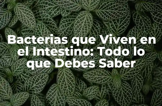 Bacterias que Viven en el Intestino: Todo Lo que Debes Saber