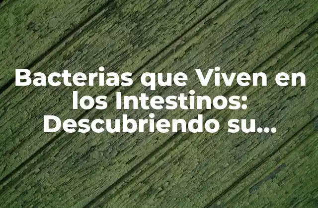 Bacterias que Viven en los Intestinos: Descubriendo Su Importancia