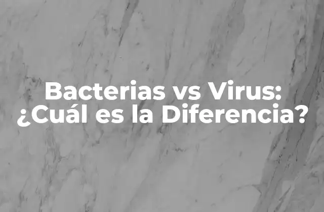 Bacterias Vs Virus: ¿cuál es la Diferencia?