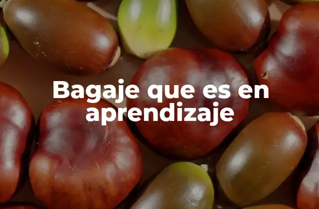 La importancia del bagaje en la formación académica