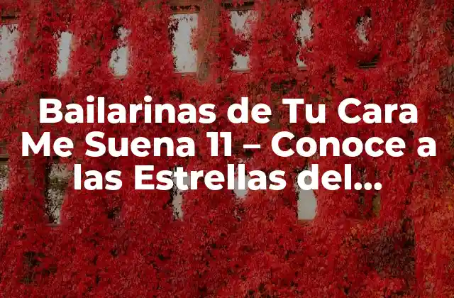 Bailarinas de Tu Cara Me Suena 11 – Conoce a las Estrellas Del Programa