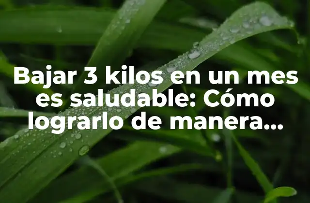 Bajar 3 Kilos en un Mes es Saludable: Cómo Lograrlo de Manera Segura