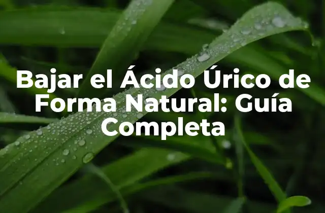 Bajar el Ácido Úrico de Forma Natural: Guía Completa