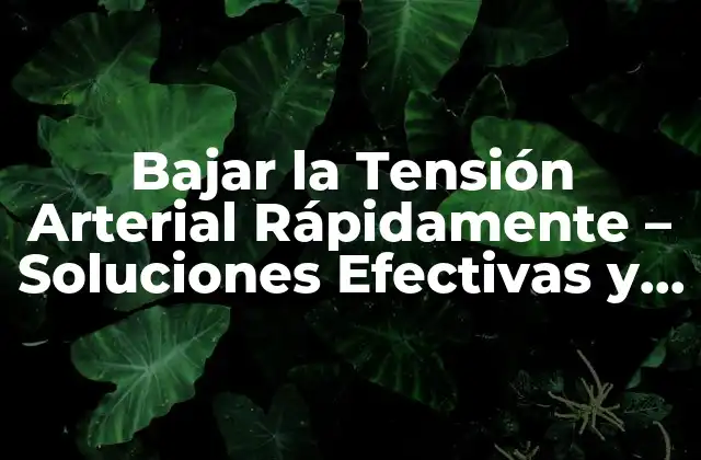 Bajar la Tensión Arterial Rápidamente – Soluciones Efectivas y Naturales
