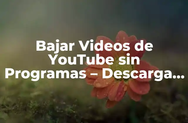 ¿Por qué debes bajar videos de YouTube sin programas?