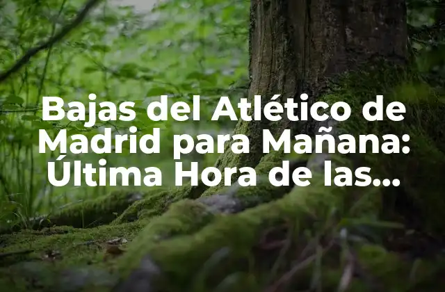 Bajas Del Atlético de Madrid para Mañana: Última Hora de las Lesiones y Sanciones