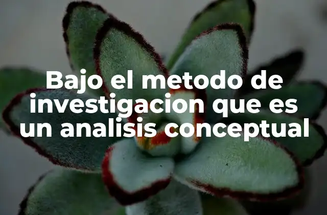 Bajo el Metodo de Investigacion que es un Analisis Conceptual