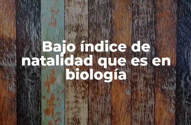 Factores que influyen en el bajo índice de natalidad