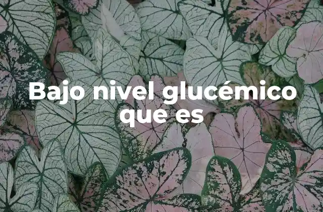 Bajo Nivel Glucémico que es