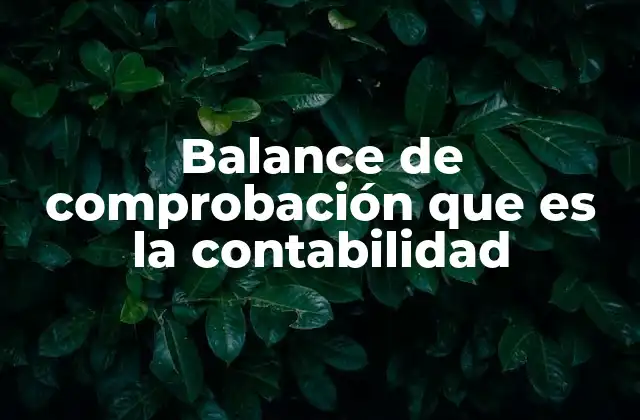 Balance de Comprobación que es la Contabilidad