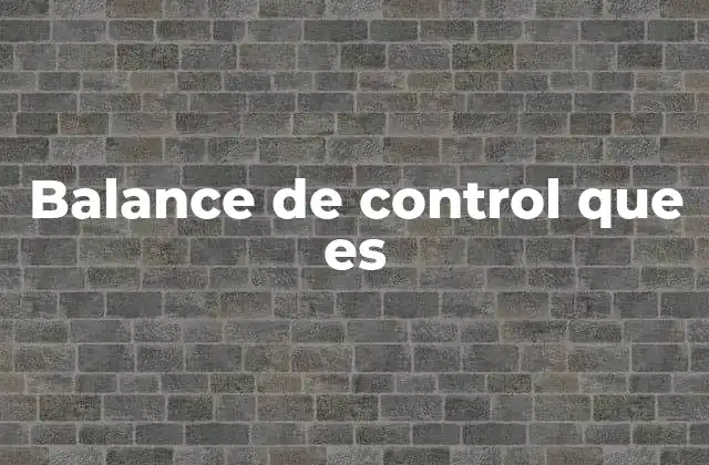Balance de Control que es