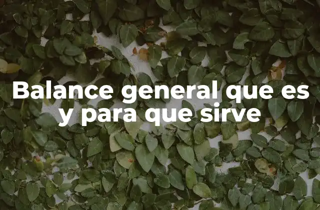 Balance General que es y para que Sirve