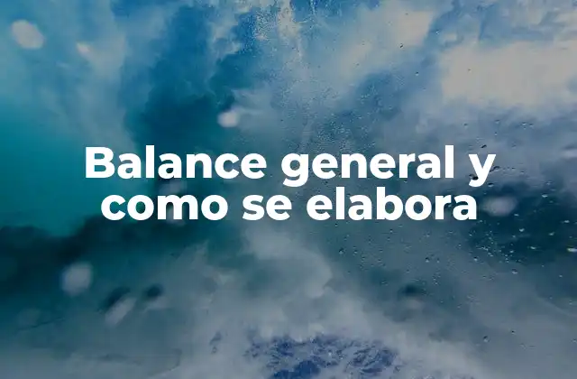 Balance General y como Se Elabora