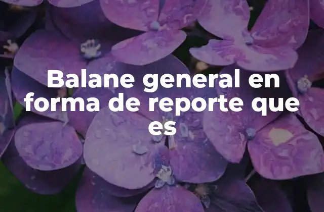 Balane General en Forma de Reporte que es