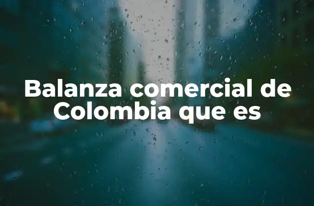 Balanza Comercial de Colombia que es
