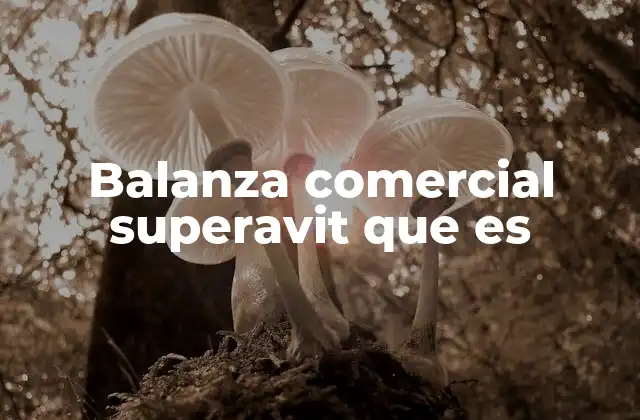 Balanza Comercial Superavit que es