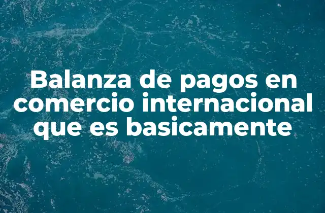 Balanza de Pagos en Comercio Internacional que es Basicamente