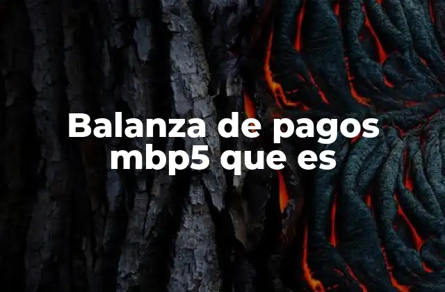 Balanza de Pagos Mbp5 que es