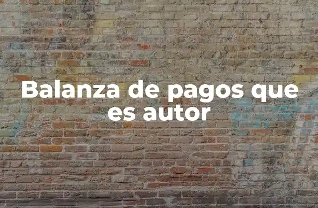 Balanza de Pagos que es Autor