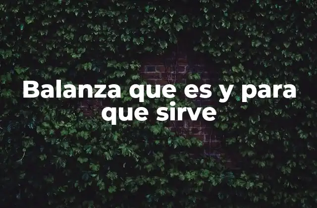 Balanza que es y para que Sirve