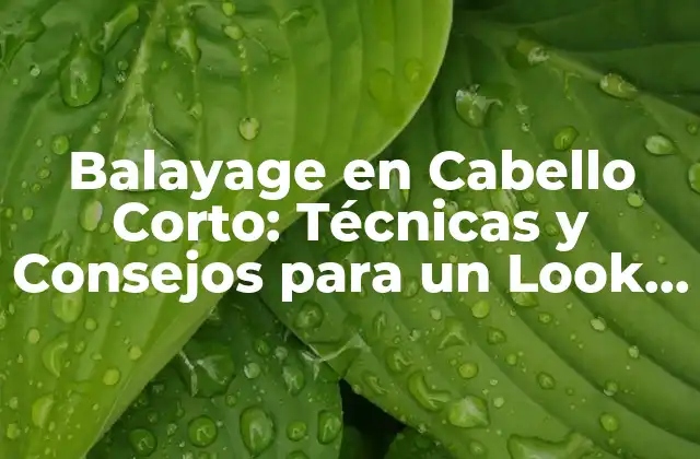 Balayage en Cabello Corto: Técnicas y Consejos para un Look Único