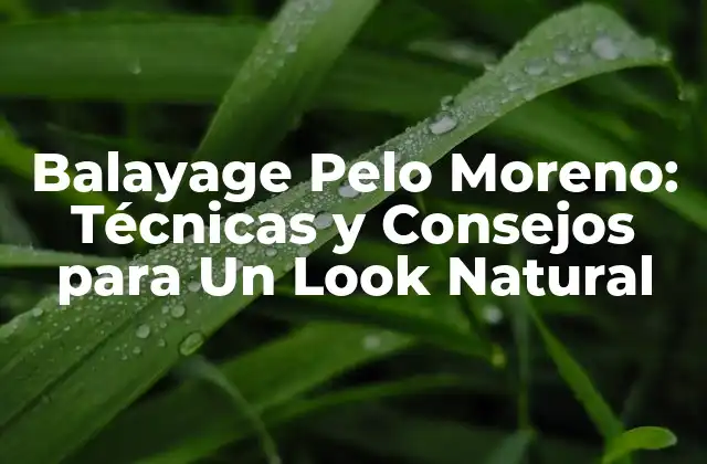 ¿Qué es Balayage y Cómo Se Diferencia de Otras Técnicas de Coloración?