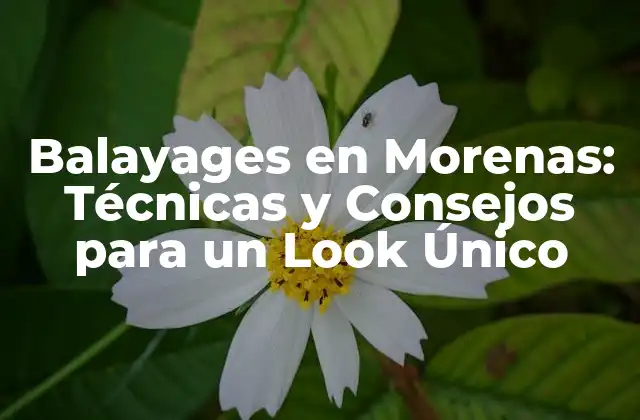 Balayages en Morenas: Técnicas y Consejos para un Look Único