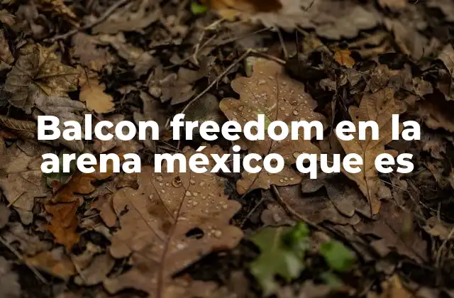 El entorno del Balcon Freedom en el Arena México