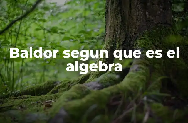 Baldor Segun que es el Algebra