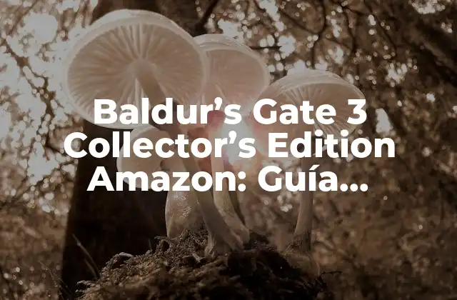 Baldur's Gate 3 Collector's Edition Amazon: Guía Completa 2 ¿Qué Incluye la Edición Coleccionista de Baldur's Gate 3 en Amazon?