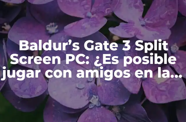 Baldur’s Gate 3 Split Screen Pc: ¿es Posible Jugar con Amigos en la Misma Habitación?