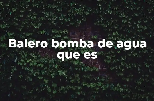 Balero Bomba de Agua que es