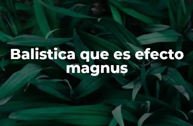 Balistica que es Efecto Magnus