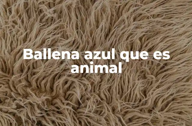 Ballena Azul que es Animal