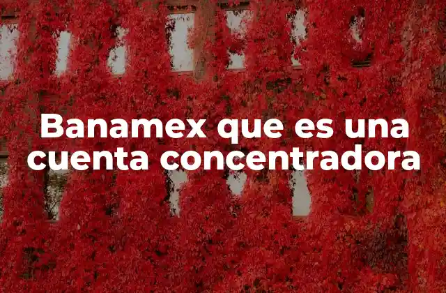 Banamex que es una Cuenta Concentradora
