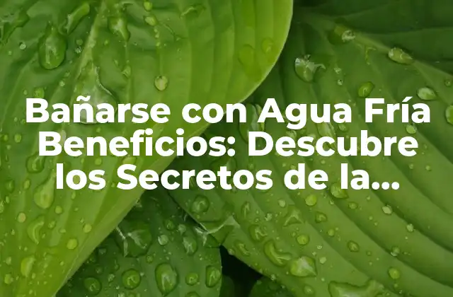 Bañarse con Agua Fría Beneficios: Descubre los Secretos de la Higiene