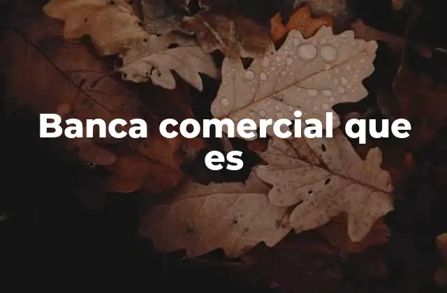 Banca Comercial que es