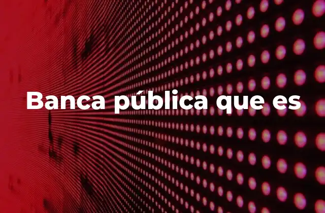 Banca Pública que es