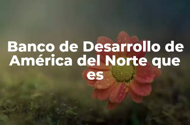 Banco de Desarrollo de América Del Norte que es 2 El papel del NADB en la región fronteriza