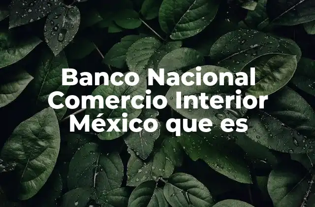 El papel del Banco Nacional Comercio Interior México en la economía nacional