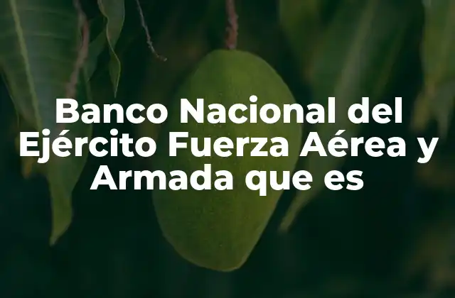 Banco Nacional Del Ejército Fuerza Aérea y Armada que es