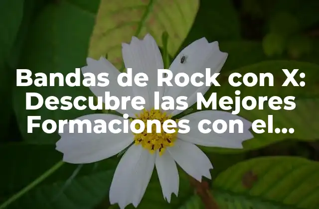 Bandas de Rock con X: Descubre las Mejores Formaciones con el Sonido Más Innovador