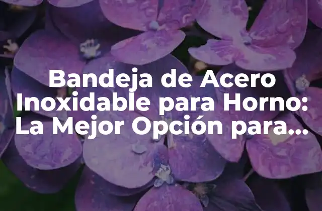 Bandeja de Acero Inoxidable para Horno: la Mejor Opción para Cocinar Al Horno