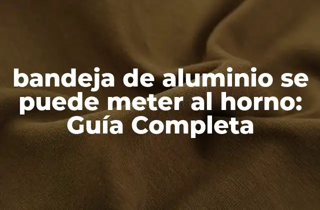 Bandeja de Aluminio Se Puede Meter Al Horno: Guía Completa